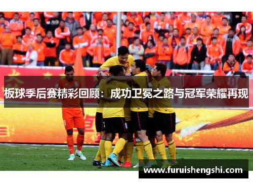 板球季后赛精彩回顾：成功卫冕之路与冠军荣耀再现